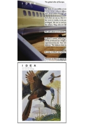 Revista IDEA artă+societate #30-31 2008